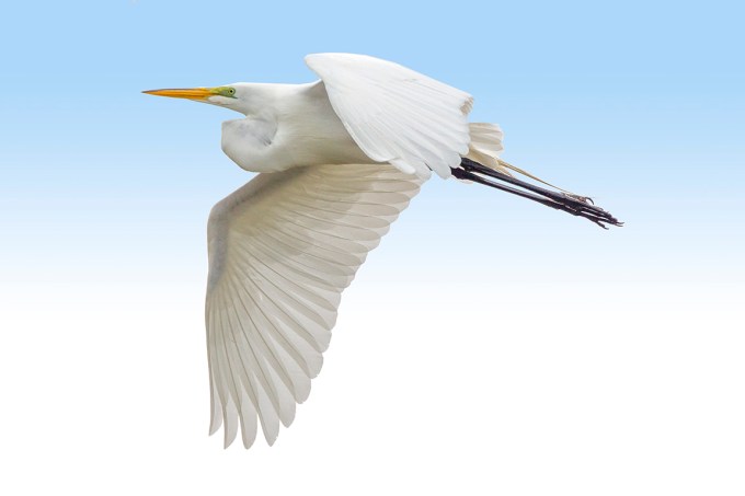 GE_V3_DD_400mm_1_4X_43G8990