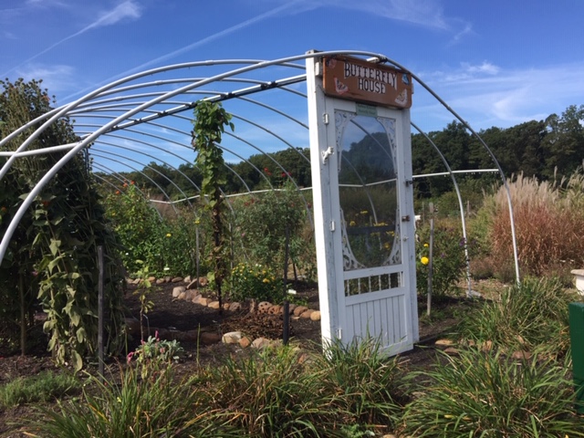 817126B1-6E8D-4BF1-BEE7-2C047815267D