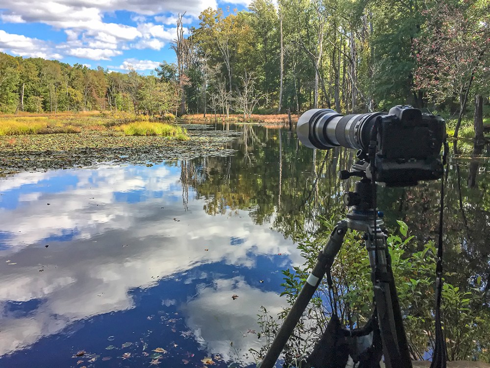 Camera IMG_1034 v3 Beaver Location