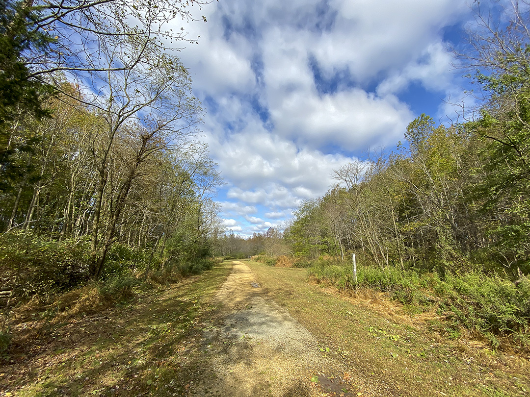 10_19_1_5mm_13mmFF_pp-IMG_0170(1)