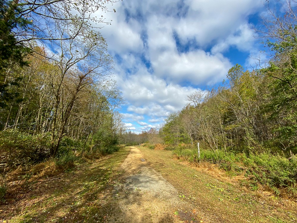 10_19_1_5mm_13mmFF_pp-IMG_0170(1)