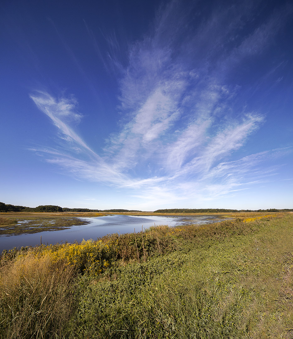 BH_Lndscp_v4 2_img_pan_12mm