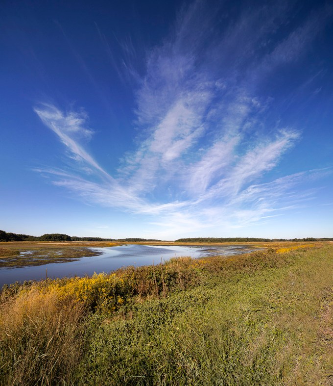 BH_Lndscp_v4 2_img_pan_12mm