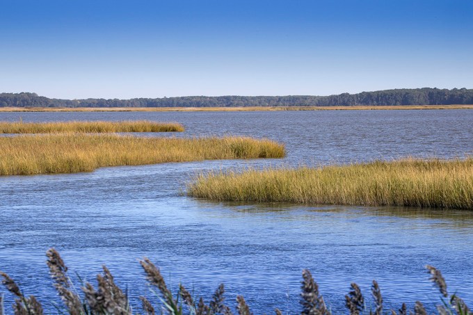 BWR_Lndscp_v3_158mm_76A9853