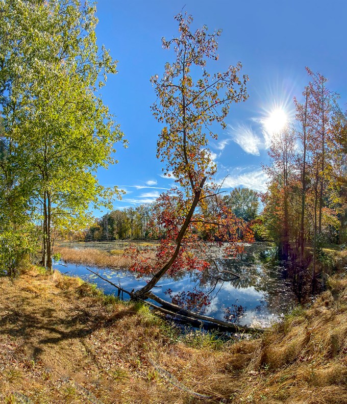 DM_2img_pano_v1_1_5mm_13mm_FF