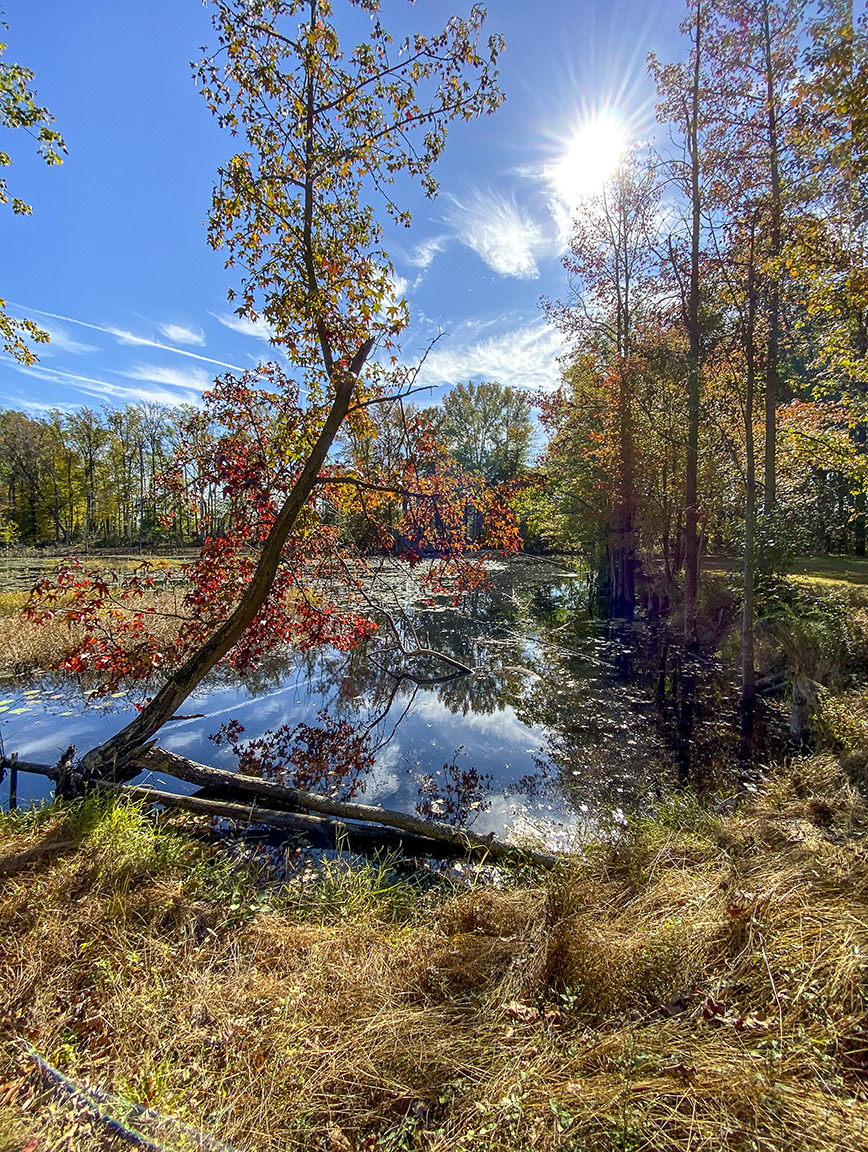 DM_2img_Pano_v1_1_5mm_13mmFF