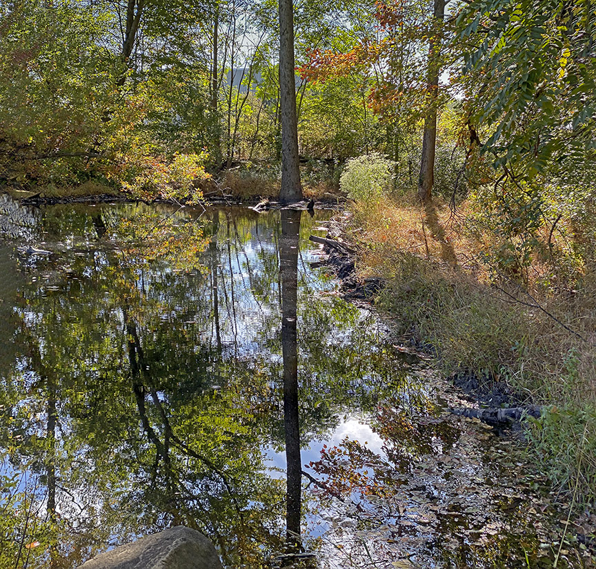 DN_Pond__v4_2img_pano_6mm_ip_52mmFFIMG_0365