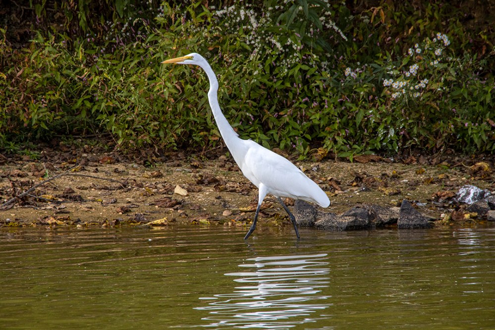 GE_v1_RP_1200mm_76A8521