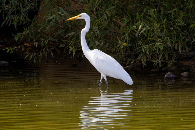 GE_v2_RP_9_19_76A8507