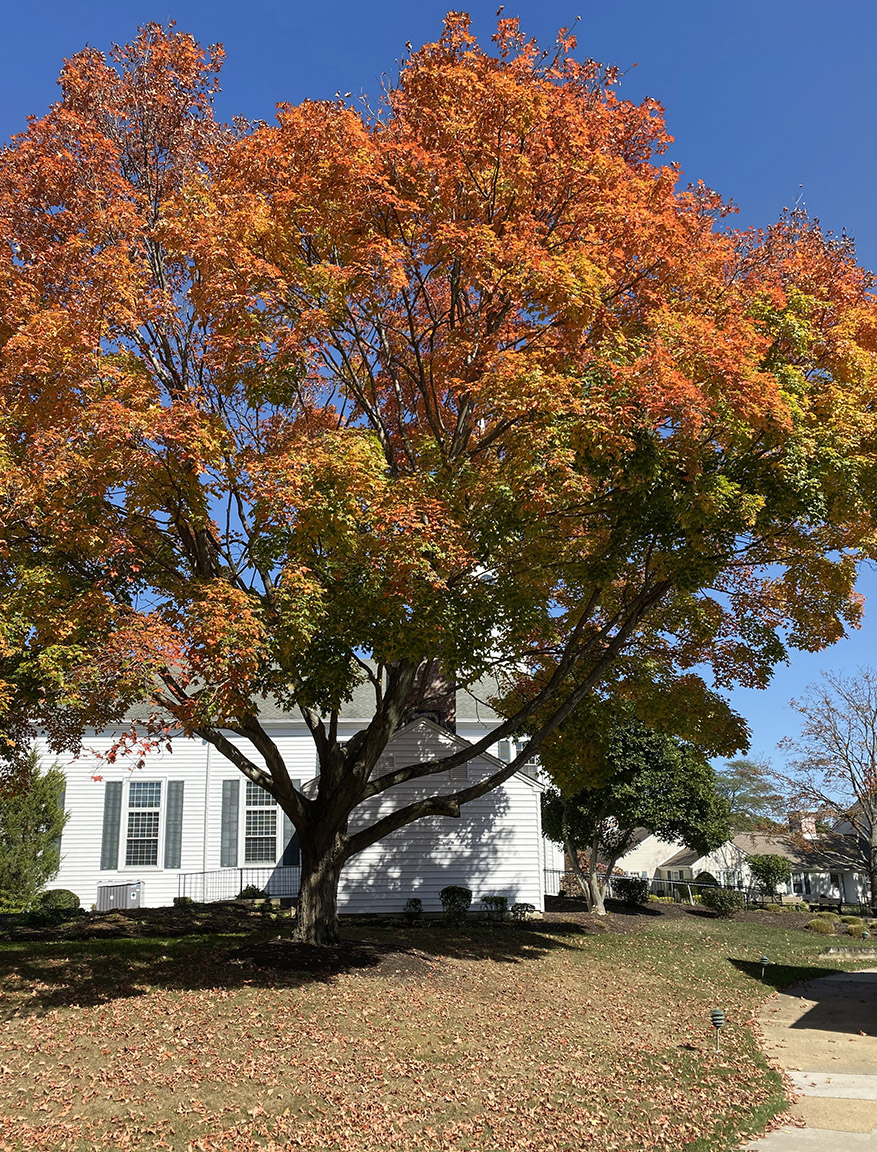 IMG_0020_iphone_4_3mm_26mm_35mm