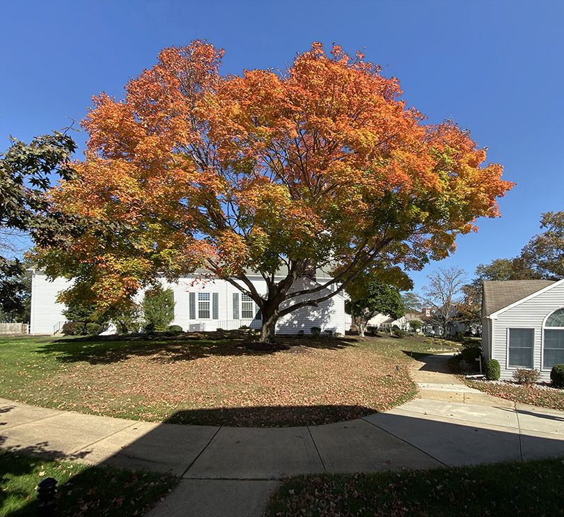 IMG_0029_iPhone_1_5mm_13mm_35mm