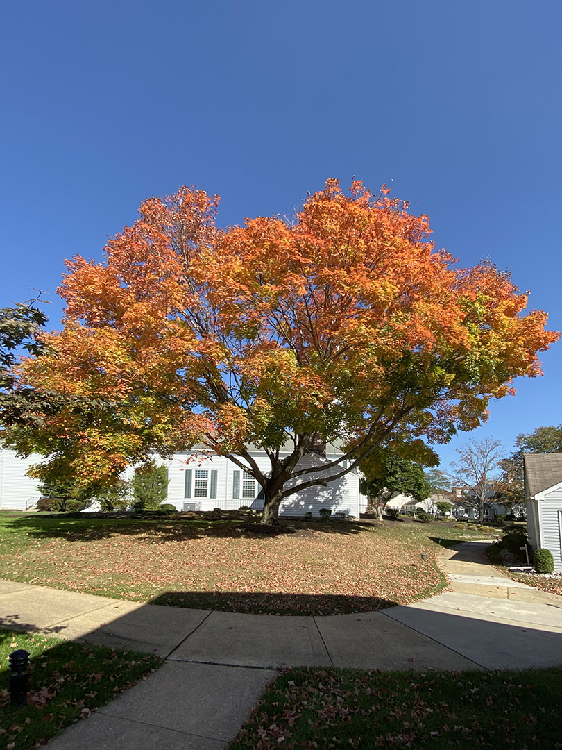 IMG_0030(1)iPhone_1.5mm_13mm_35