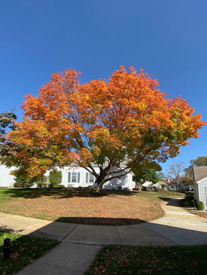 IMG_0030(1)iPhone_1.5mm_13mm_35