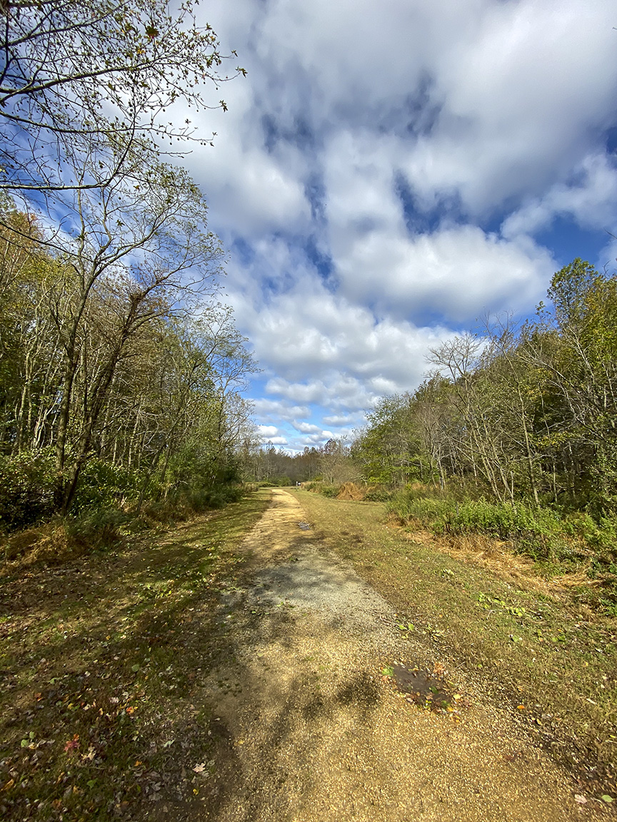 PP_4_3mm_13mmFF_v1_IMG_0168