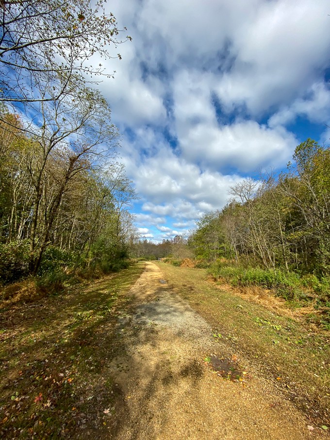 PP_4_3mm_13mmFF_v1_IMG_0168