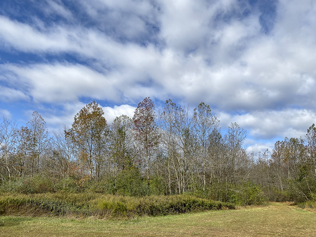 PP_4_3mm_26mmFF_v1_IMG_0174