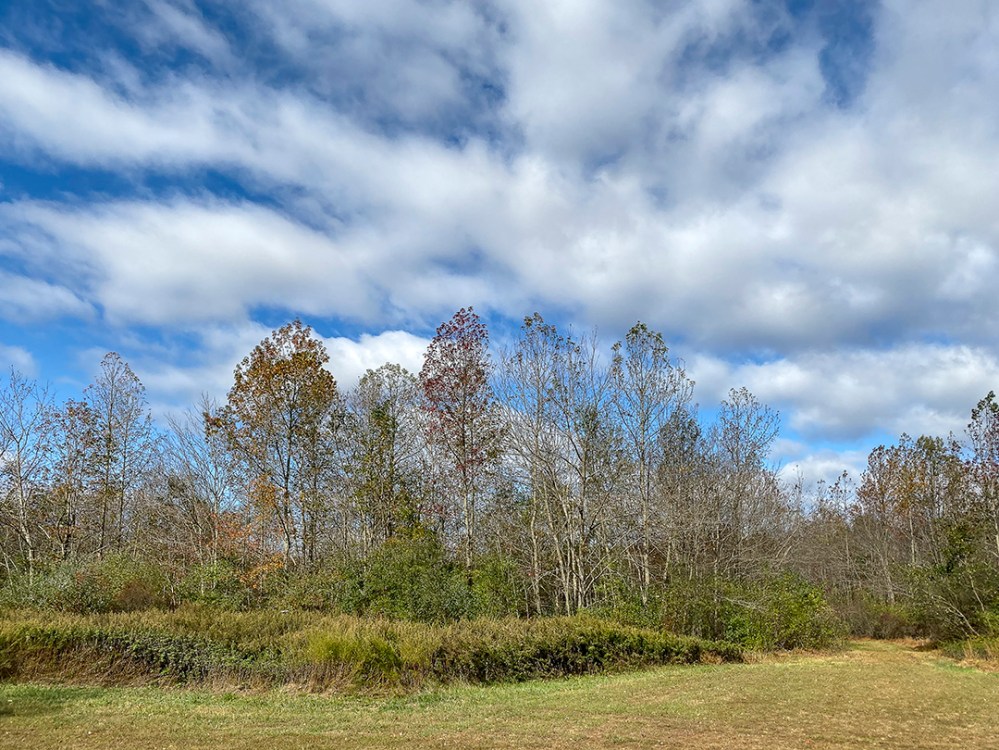 PP_4_3mm_26mmFF_v1_IMG_0174