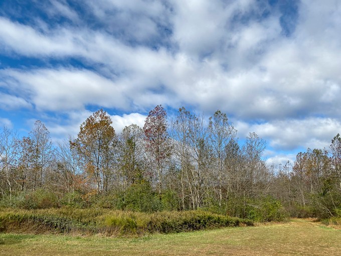 PP_4_3mm_26mmFF_v1_IMG_0174