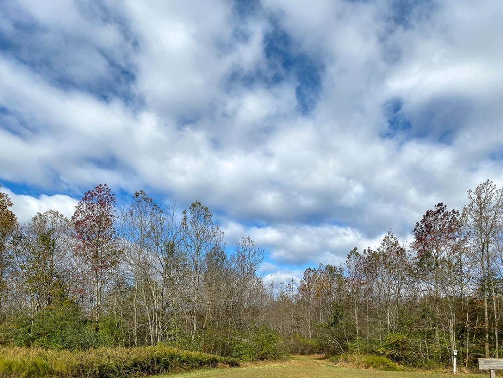 PP_Landscp_4_3mm_26mmFF_v1_IMG_0173(1)