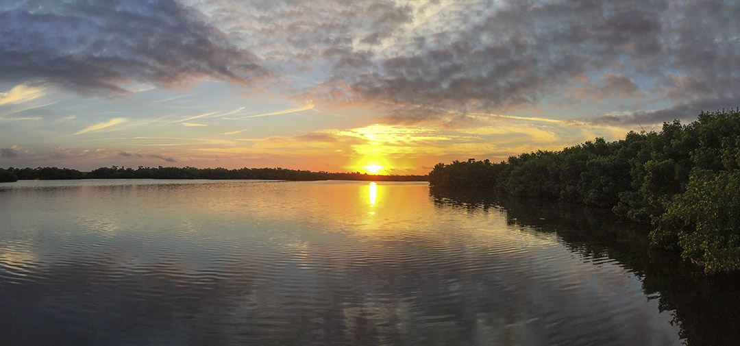 DD_Pano_B_4_2mm_2img_v3_Final