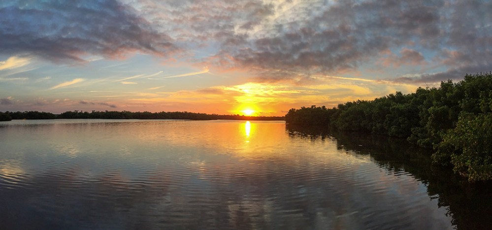 DD_Pano_B_4_2mm_2img_v3_Final