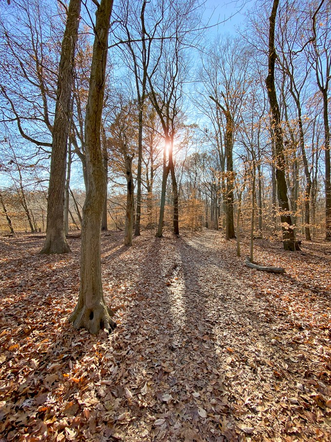 DM_1_5mm_v2_IP11_IMG_1001