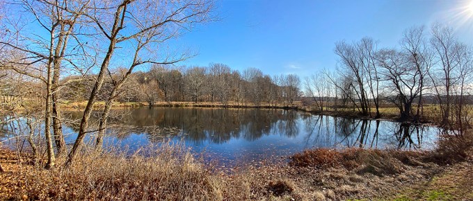 DM_2img_pano_1_5mm_0983