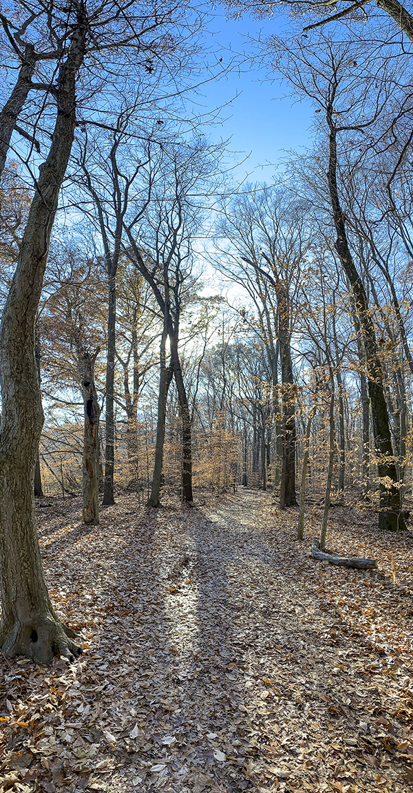 DM_4_3mm_IP11_16x9_IMG_1007