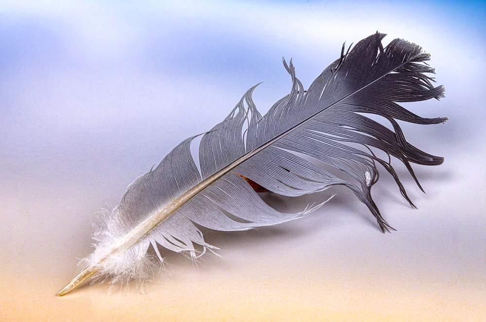 Feather 10- 3img stk_100mm f16