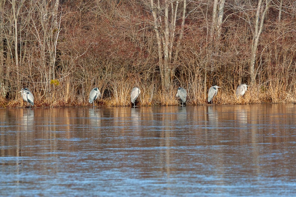 GBH Pano 1 img example_80I2680