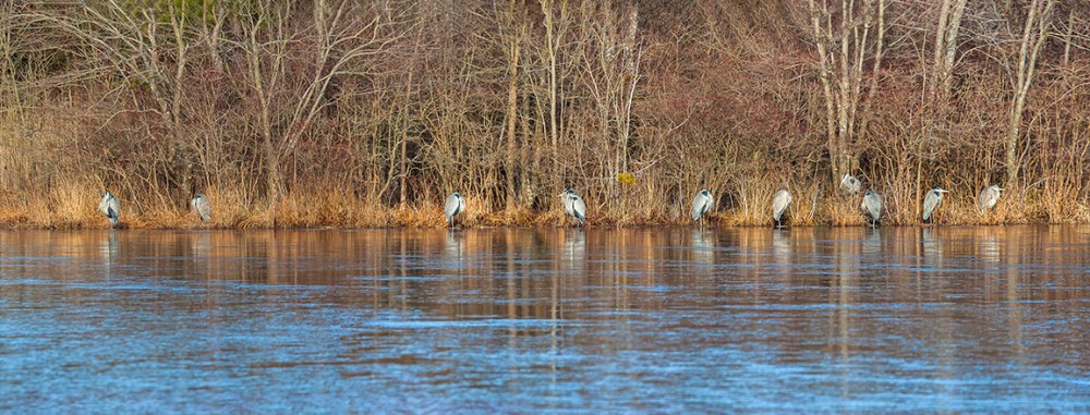 GBH_11 GBH_5img Pano_v1_BWR