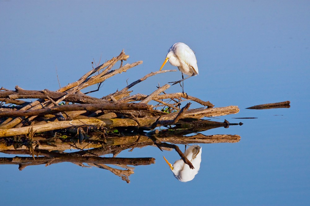 GE_v1_CF 400mm_MKIII_80I2556