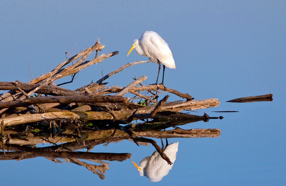 GE_v3_CF400mm_MkIII_80I2560 copy