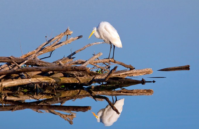 GE_v3_CF400mm_MkIII_80I2560 copy