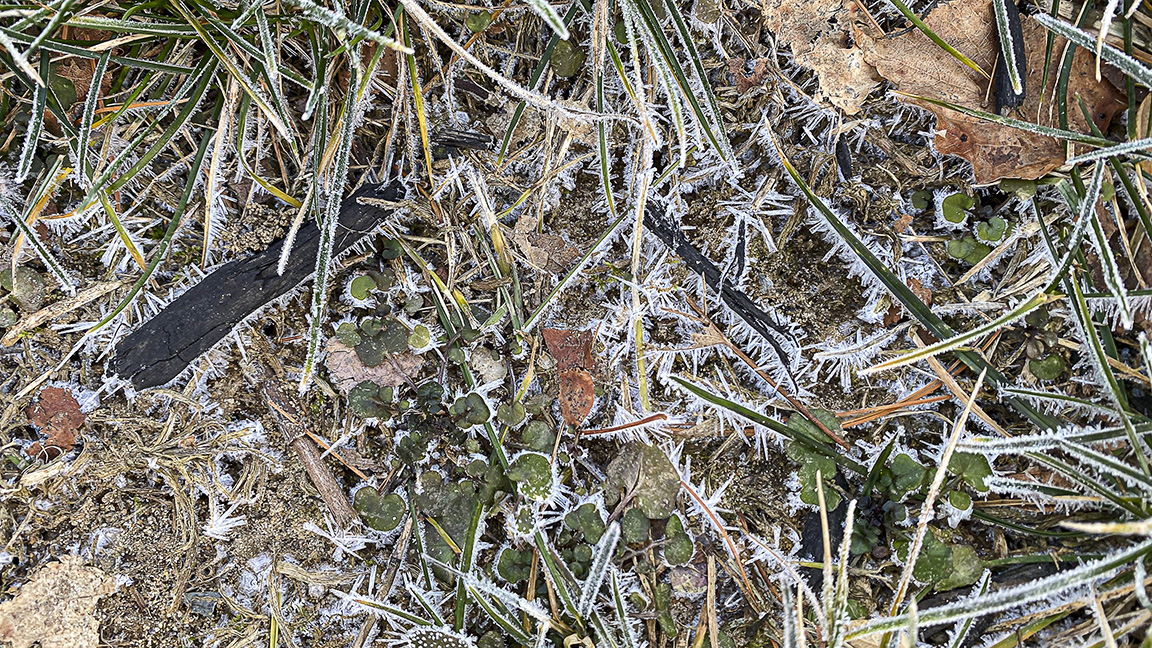 Hoar_Frost_IP_11_16x9_ v1IMG_1280