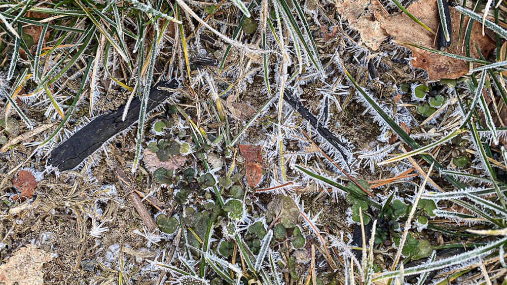 Hoar_Frost_IP_11_16x9_ v1IMG_1280