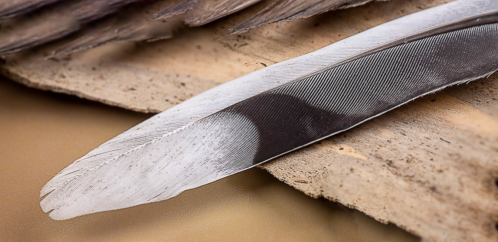 Macro 100mm 2img pano_v2_f18