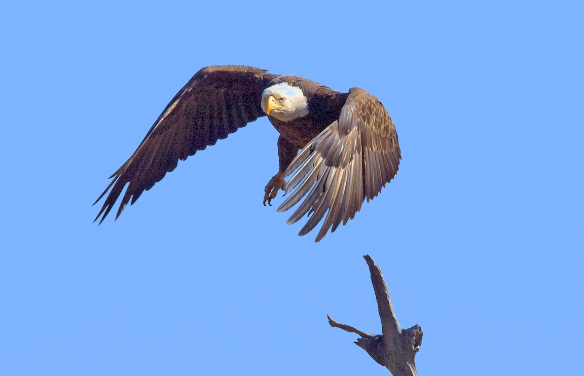 BE_TakeOff_BWR_80I0617D