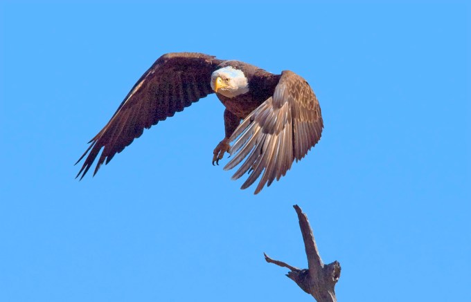 BE_TakeOff_BWR_80I0617D