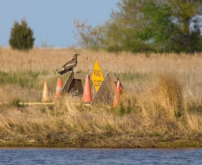 Eagle_Road_Closed v1_Brig_Y9F2948a