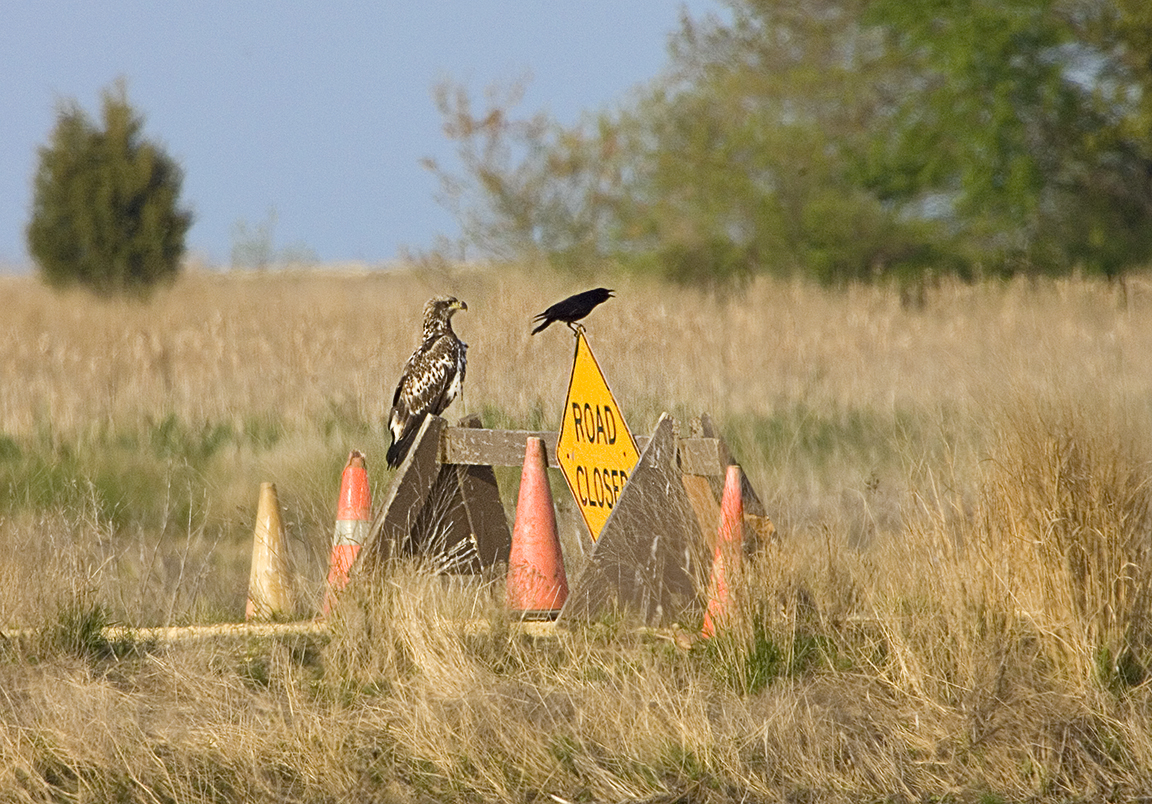 Eagle_Road_Closed_Y9F2937a