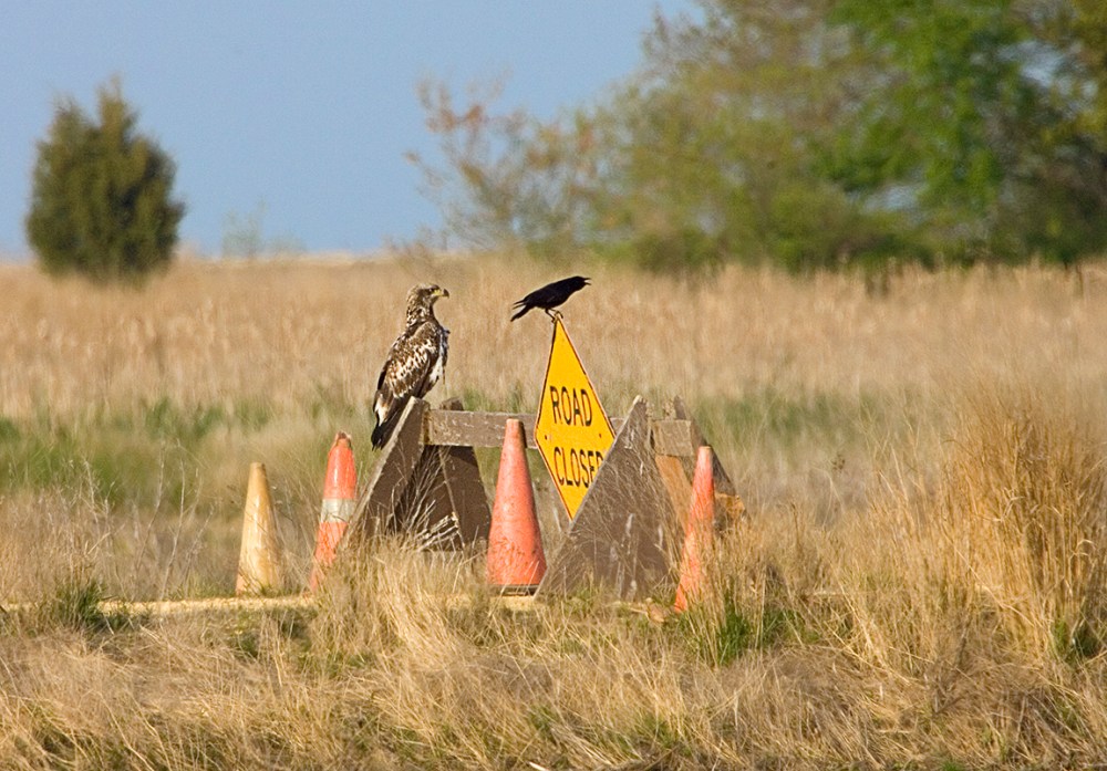 Eagle_Road_Closed_Y9F2937a