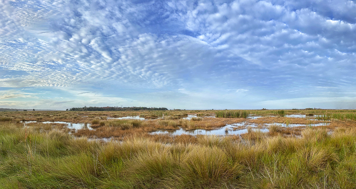 8 img pano_v1_iP11_4_3mm