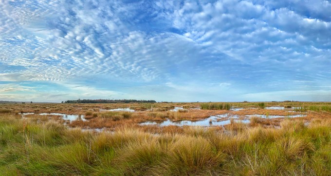 8 img pano_v1_iP11_4_3mm