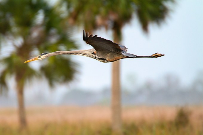 GBH_v2_LW_1_20_MG_9330