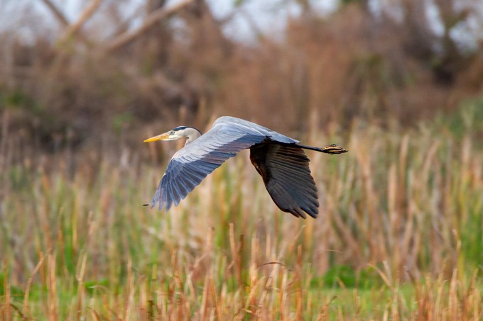 GBH_v2_LW_1_20_MG_9332