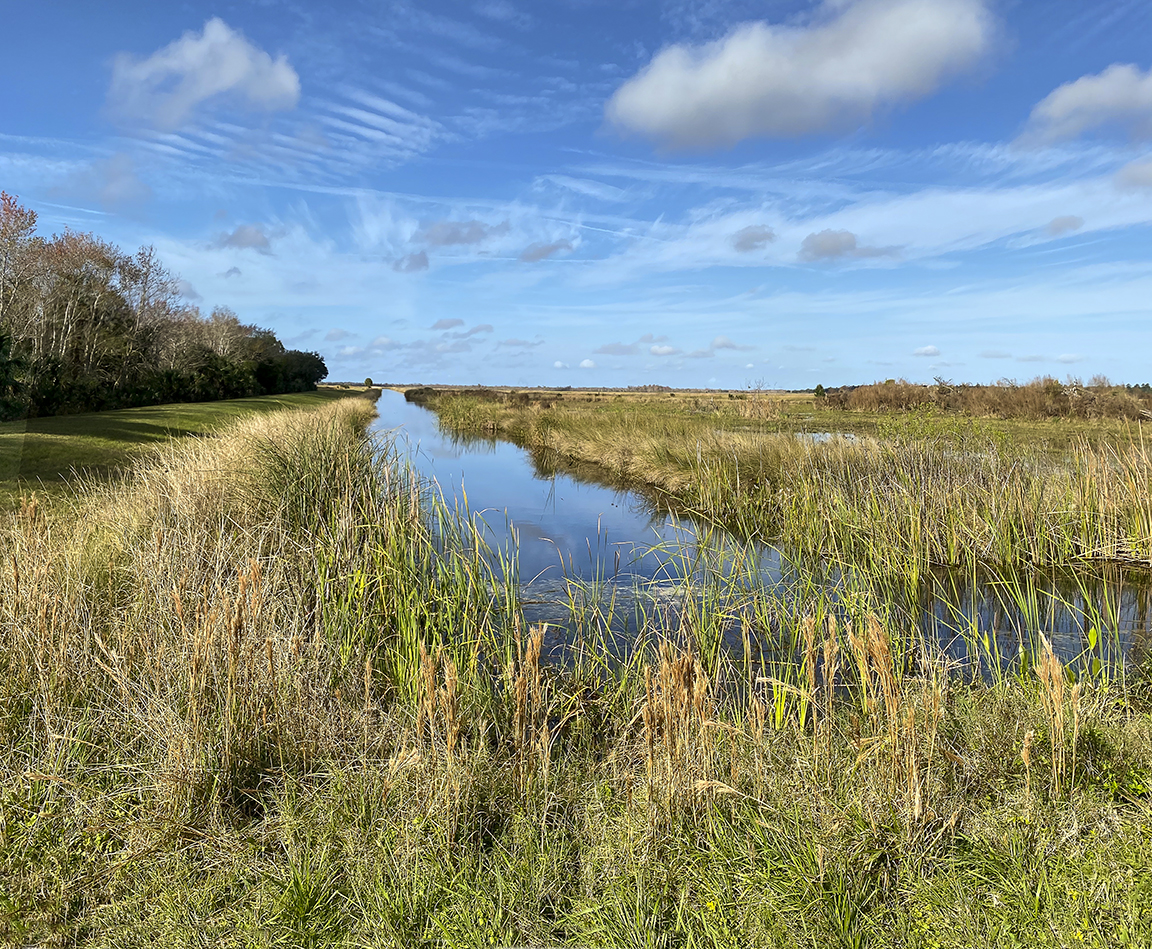 LW Landscape_2img iPhone 11_Pro_4_3mm lens 26mmFF