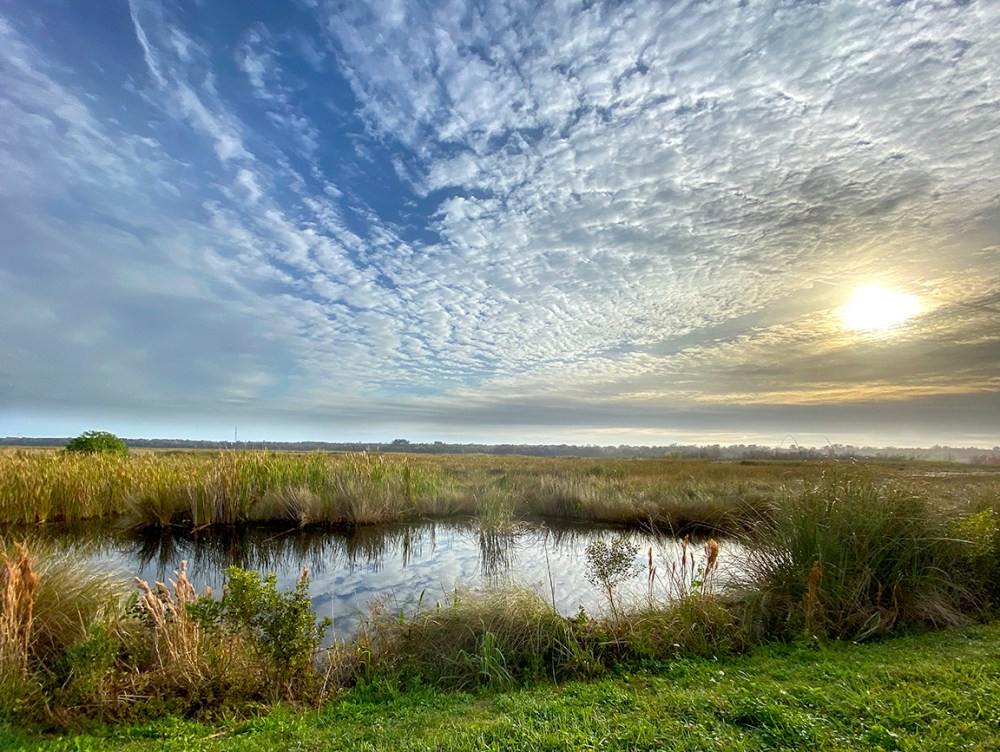 LW_3img_blend_iP_1_5mm_v3