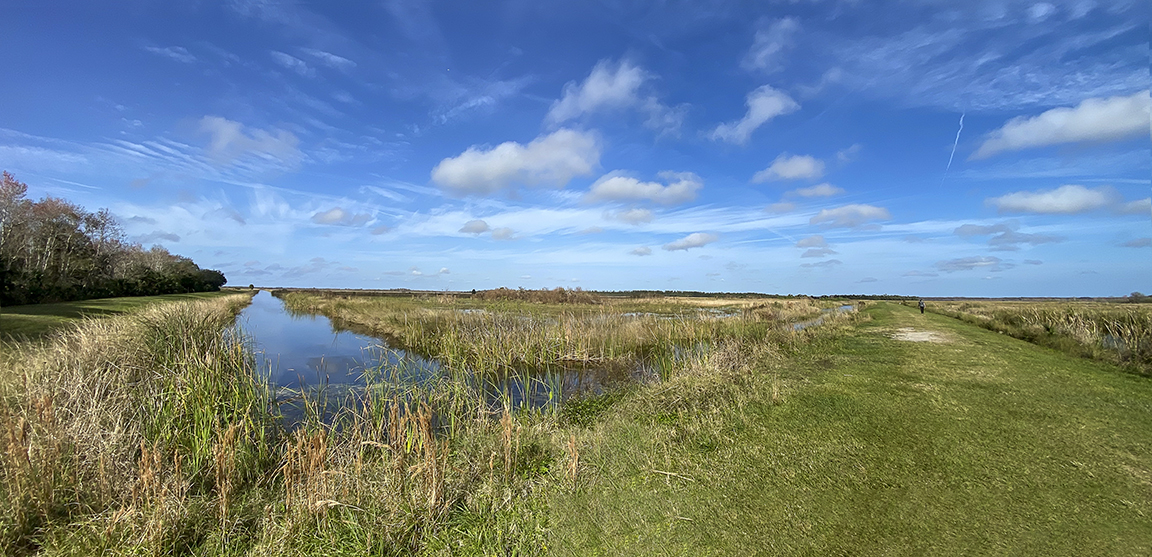 LW_Landscape_IP11_pro_1_5mm