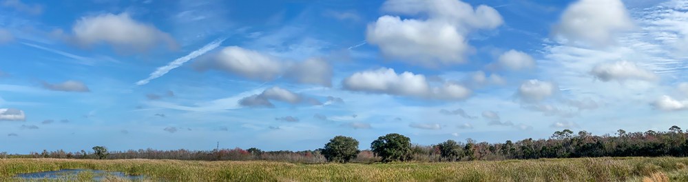 LW_Landscape_v2_IP12_6mm_52mmFF_7img